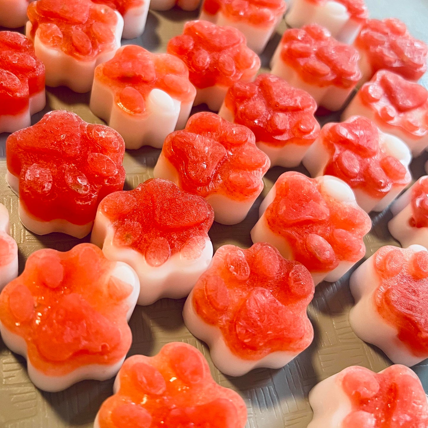 Coco Melon K9 Bombs