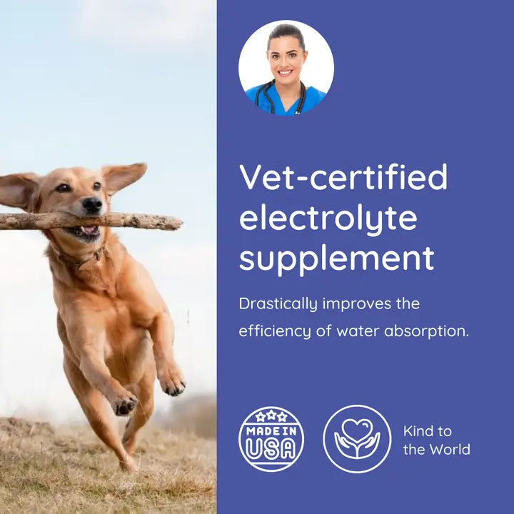 Dog Electrolyte and Joint Supplement | Beef Lovers