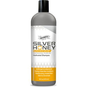 Silver Honey Shampoo