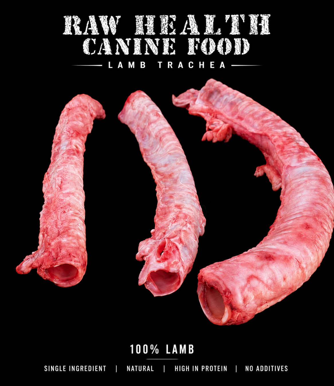 Lamb Trachea