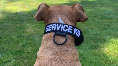 Tactical sales e collar