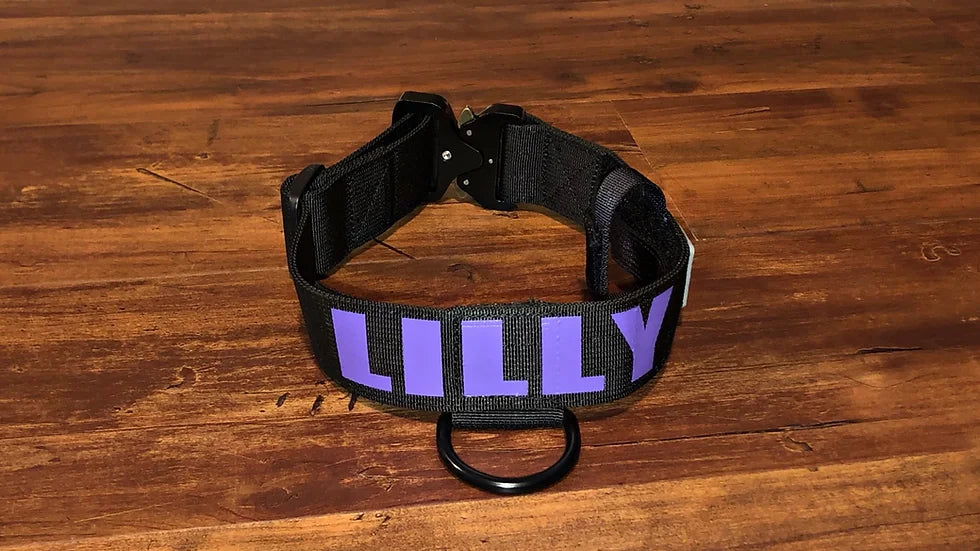 Concealed E-Collar Tactical Collar