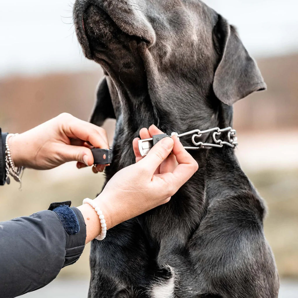 Herm Sprenger ClicLock Stainless Steel Buckle